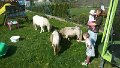 20150508_163939