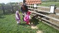 20150517_111135