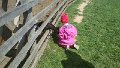 20150517_111338
