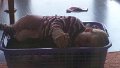 20150517_180203