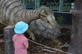 IMG_0195