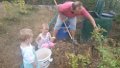 thumb_20150816_101221_1024
