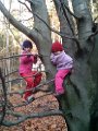 IMG_20151108_100420