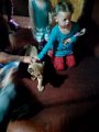 IMG_20160522_100205