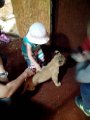 IMG_20160522_100223