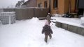 thumb_20160301_094751_1024