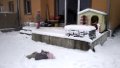 thumb_20160301_094758_1024