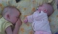 IMAG0335