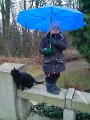 IMG_20131229_102416