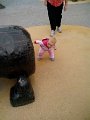 IMG_20140731_114023