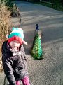 IMG_20141223_103823