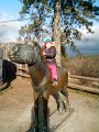 IMG_20141223_105002