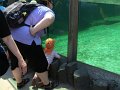 IMG_0712