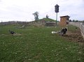 P9292528