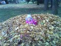 DSC00314