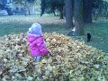 DSC00320