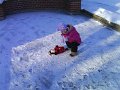 DSC00328