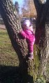 IMAG0246