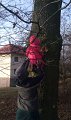 IMAG0261