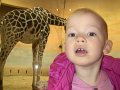 IMG_0778