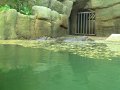 IMG_0785