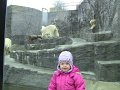 IMG_0789