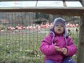 IMG_0793
