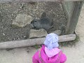 IMG_0797