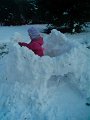IMG_20130319_173947
