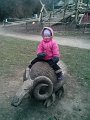 IMG_20130327_092235