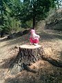 IMG_20130416_105345