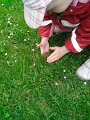 IMG_20130430_190938